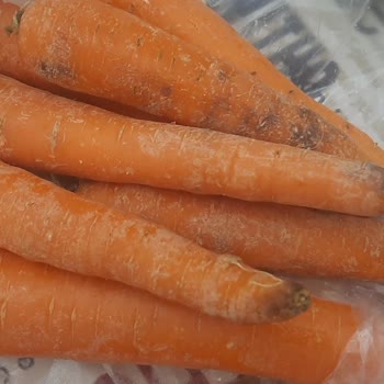 Ezilmiş Sebzeler Ve Çözülmeyen Sorunlar