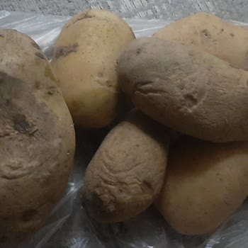 Ezilmiş Sebzeler Ve Çözülmeyen Sorunlar