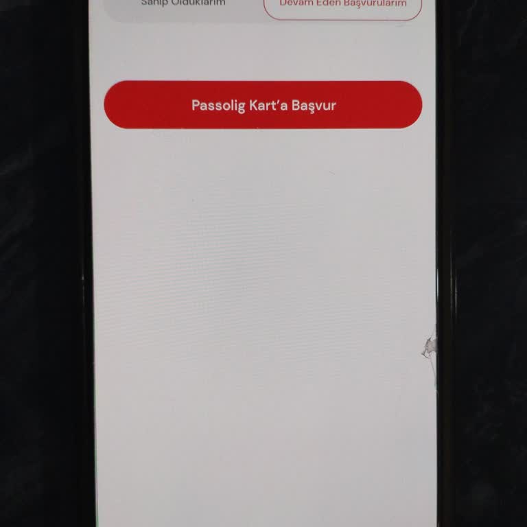 Passolig Kartım Neden Bulunamıyor?