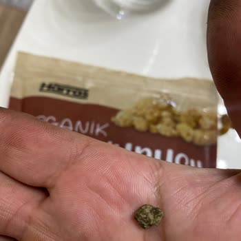 Organik Ürünlerde Güven Sorunu: Kuru Dut İçinde Taş Çıkması