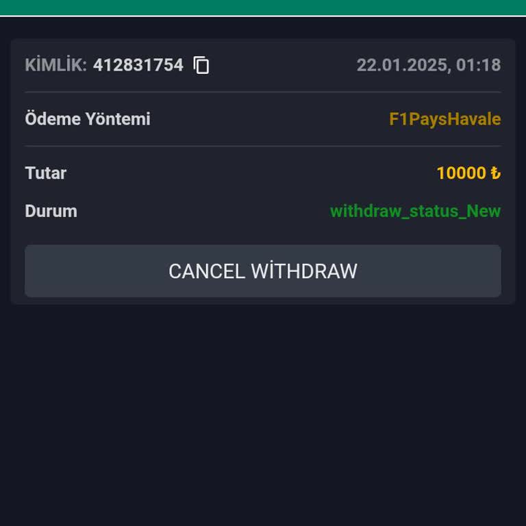 Ödeme Sorunları Ve Yetersiz Müşteri Hizmetleri