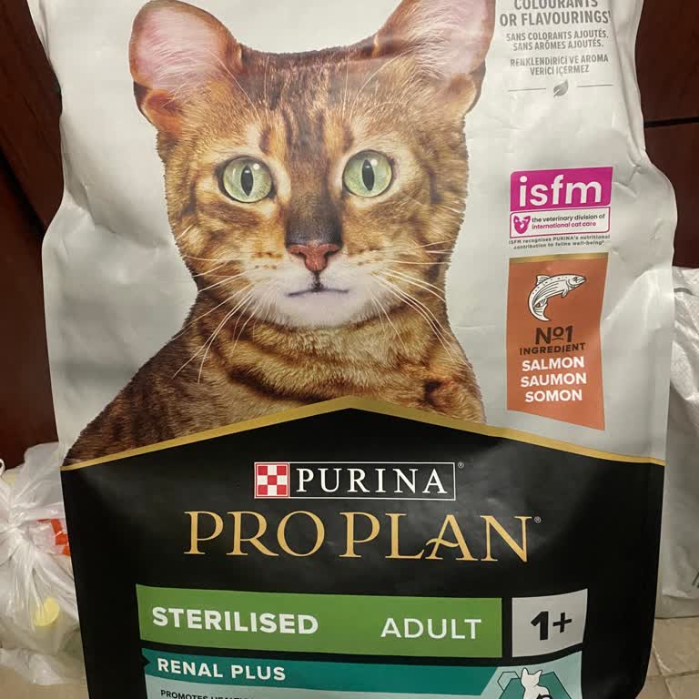 Kedim Pro Plan Mamayla Sağlık Sorunları Yaşıyor