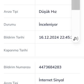 Yavaş İnternet Sorunu Ve Altyapı Uyumsuzluğu