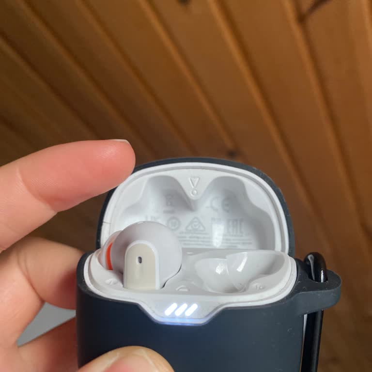 JBL Tune Flex Sol Kulaklık Şarj Sorunu Ve Yetersiz Müşteri Hizmeti