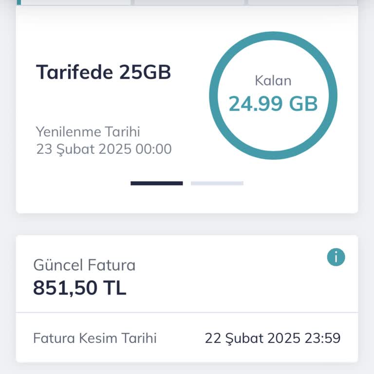 Müşteri Hizmetleri Ve Fatura Sorunları