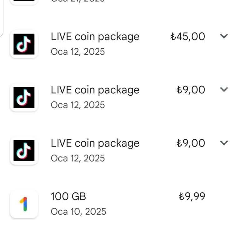 TikTok İzinsiz Para Çekimi Sorunu