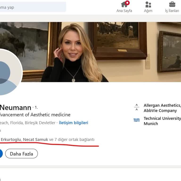LinkedIn Hesabımın Çalınması Ve Erişim Sorunları