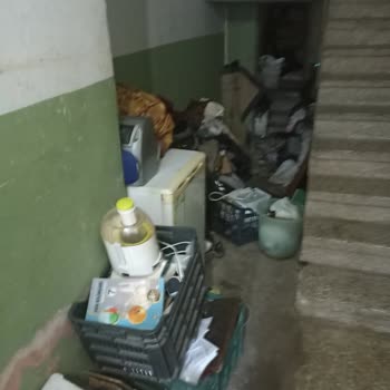 Gölcük'te Çöp Sorunu: Sağlık Ve Güvenlik Tehlikesi