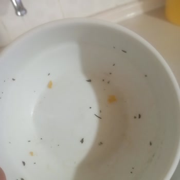 Arçelik Bulaşık Makinesi Hayal Kırıklığı