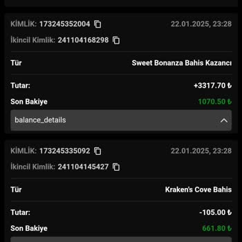 Hesabımda Gizemli Bakiye Kaybı