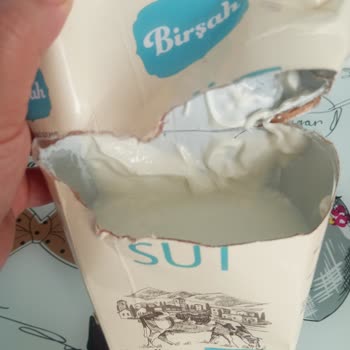 Bozuk Süt Mağduriyeti