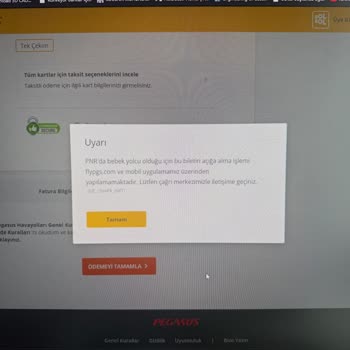 Pegasus'un Bebekli Ailelere Zorluk Çıkarması Ve Müşteri Hizmetleri Sorunu