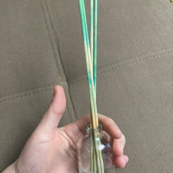 A101'den Aldığım Oda Kokusu Hüsran Yarattı