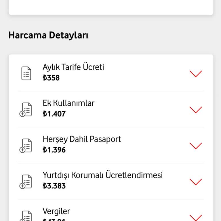 Yurt Dışı İnternet Kullanımında Şok Fatura Sürprizi