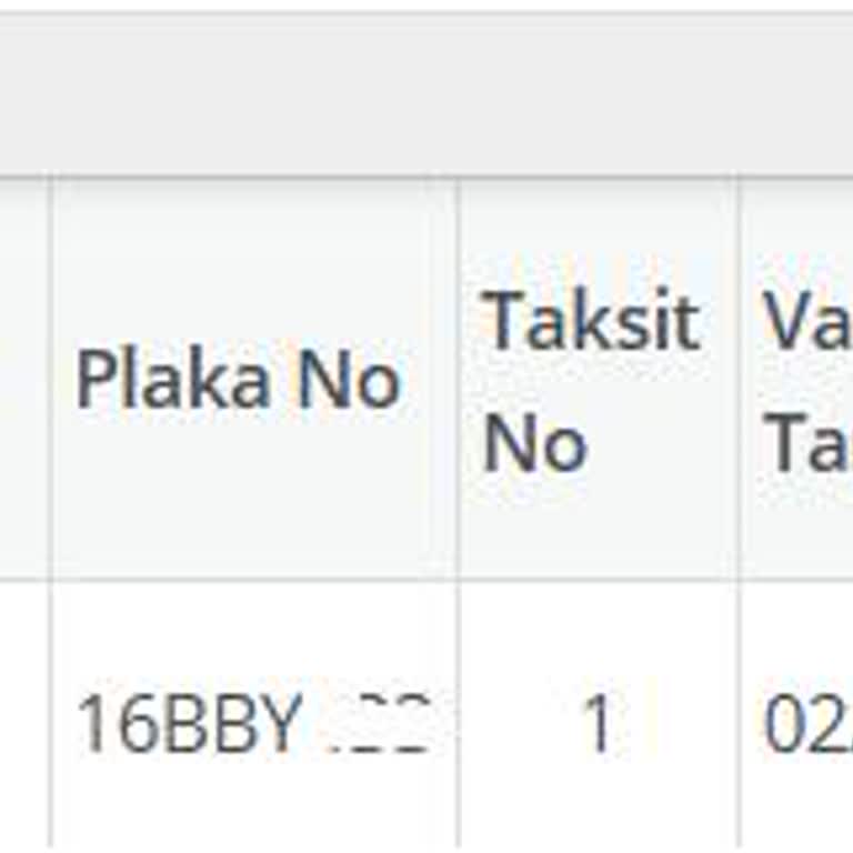 Yanlış Kayıt Nedeniyle Mağduriyet Ve Ödenmeyen Cezalar