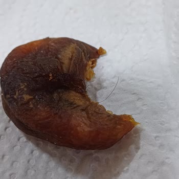 Simbat Kuruyemiş Kalitesiz Ürün Ve İletişimsizlik Sorunu