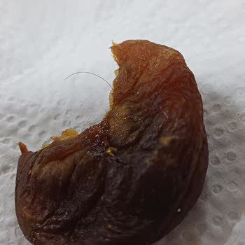 Simbat Kuruyemiş Kalitesiz Ürün Ve İletişimsizlik Sorunu