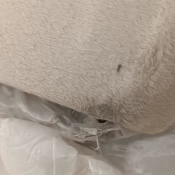 Ege Ulaşım Taşımacılık Hasarlı Ürün Teslimatı Ve Gecikme