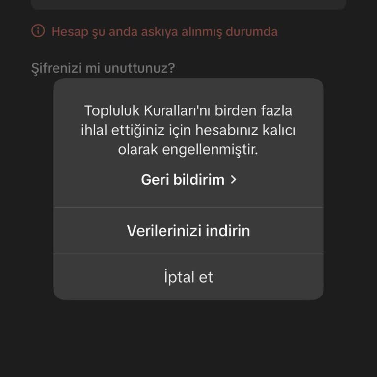 TikTok Hesabıma Erişim Engellendi