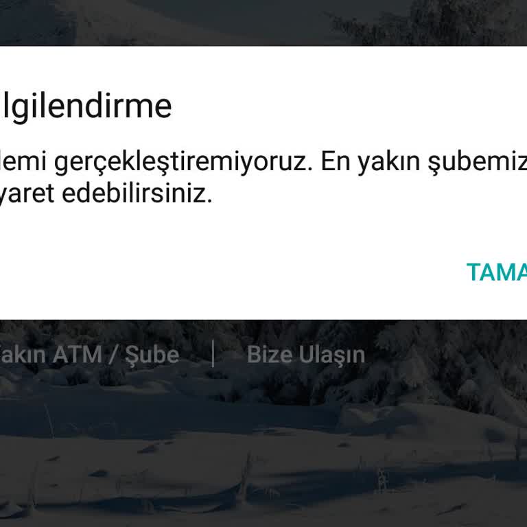 İnternet Bankacılığı Erişim Sorunu Ve Zaman Kısıtlaması