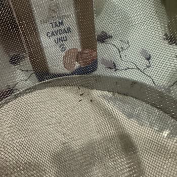 Aro Un Paketlerinde Karşılaşılan Böcek Sorunu