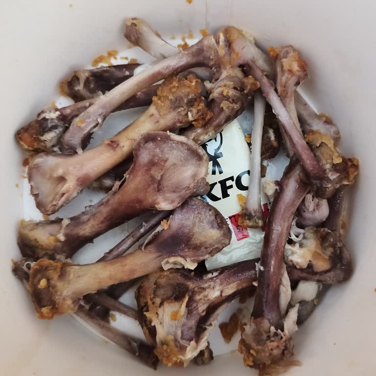 KFC'de Hayal Kırıklığı: Bayat Ve Lezzetsiz Deneyim