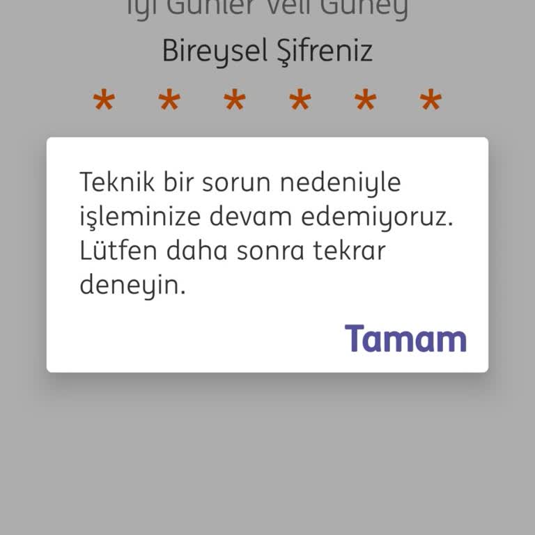 ING Mobil Uygulama Erişim Sorunu