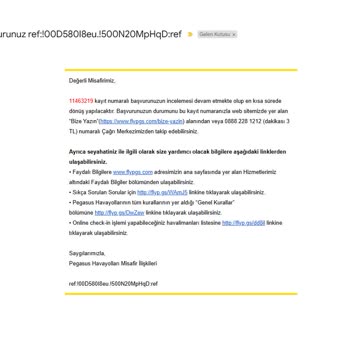 Pegasus İade Sürecinde Yaşanan Sorunlar