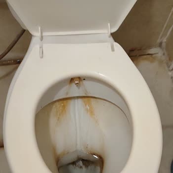 Aydın Palace Termal Bize Susuz Termal Yaptırdılar