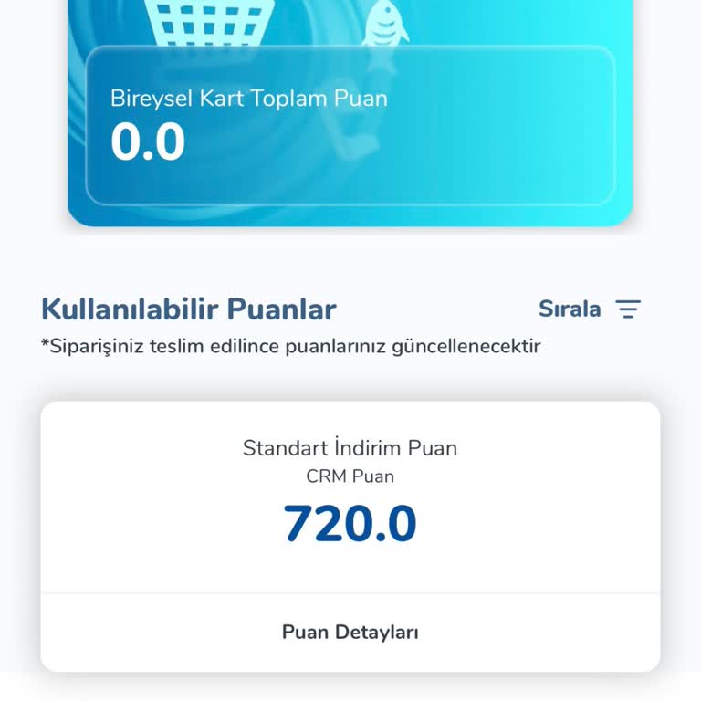 Carrefour SA Uygulamasında Puan Kullanımı Sorunu