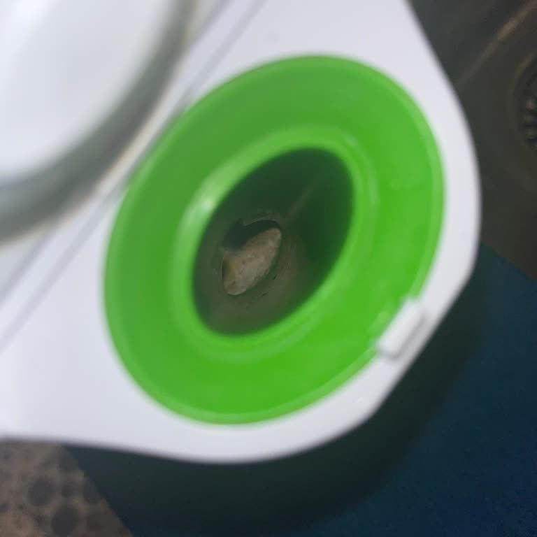 Bebek Sağlığı Tehlikede: Philips Avent Buharlı Pişirici Sorunu