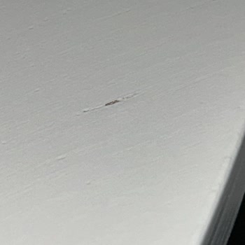 Ürün Değişiminde İletişim Eksikliği Ve Ayıplı Ürün Sorunu