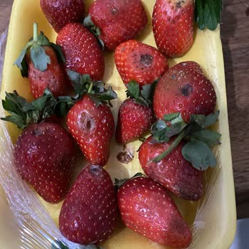 Bozuk Ürünler Ve Eksik Siparişler: Carrefour SA Deneyimim!
