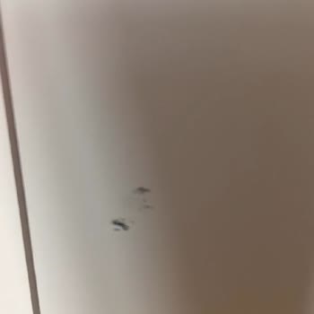 Greensons Mobilya Firma Asla İşini Ciddiyetle Yapmıyor