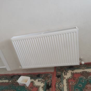 Baymak Petek Sorunu Çözülmüyor!