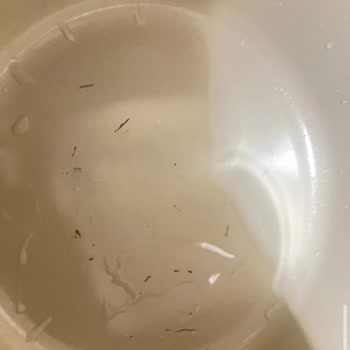 Neoflam Ürünü Çizildi Ve Satıcıdan Yanıt Alınamıyor