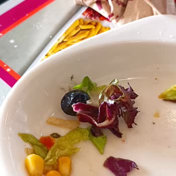Tavuk Dünyası Böcekli Salata Ve Bayat Makarna Şoku