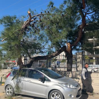 Sigorta Şirketinin İlgisizliği Ve Yanlış Yönlendirmeler