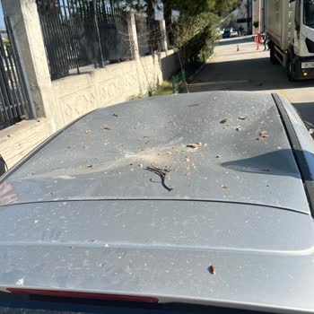 Sigorta Şirketinin İlgisizliği Ve Yanlış Yönlendirmeler