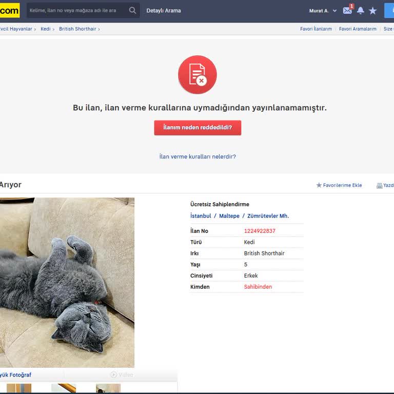 Sahibinden.com'da Ücretsiz Sahiplendirme İlanı Sorunu