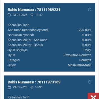 Ödeme Sorunlarıyla Karşılaşan Uzun Süreli İnterbahis Kullanıcısı