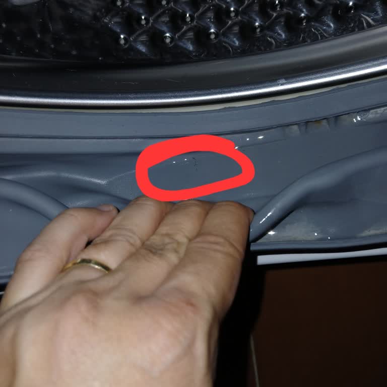 Sürekli Yırtılan Çamaşır Makinesi Körüğü Sorunu