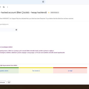 G2G.com Üzerinden Satın Alınan Hesaplarla İlgili Sorunlar