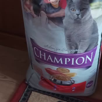 Kedilerin Bile Yemediği Mama: İdefix'ten Hayal Kırıklığı