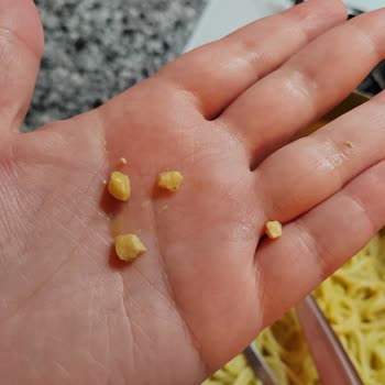 Pesto Sosun İçinden Çıkan Şaşırtıcı Parçalar