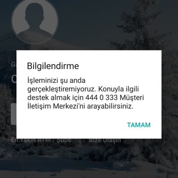 İnternet Bankacılığına Erişim Sorunu Ve Yetersiz Müşteri Hizmetleri