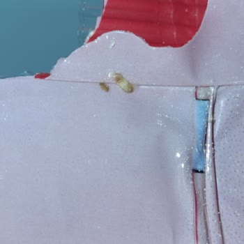 Güvenilir Markadan Kurtlu Makarna Şoku