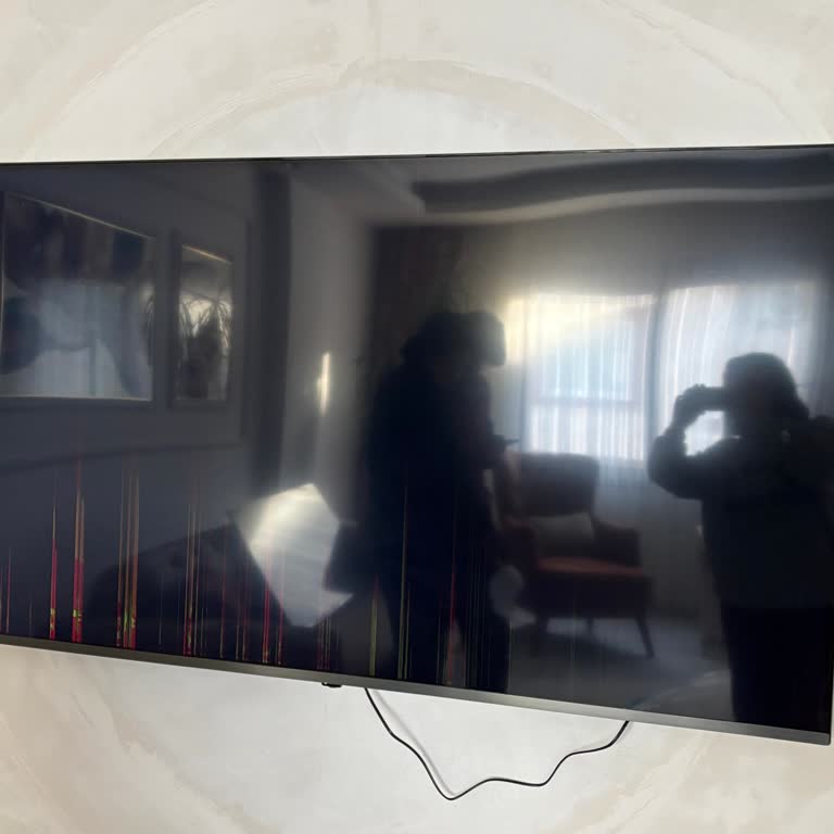 Televizyon Kurulumunda Yaşanan Sorunlar Ve Hayal Kırıklığı