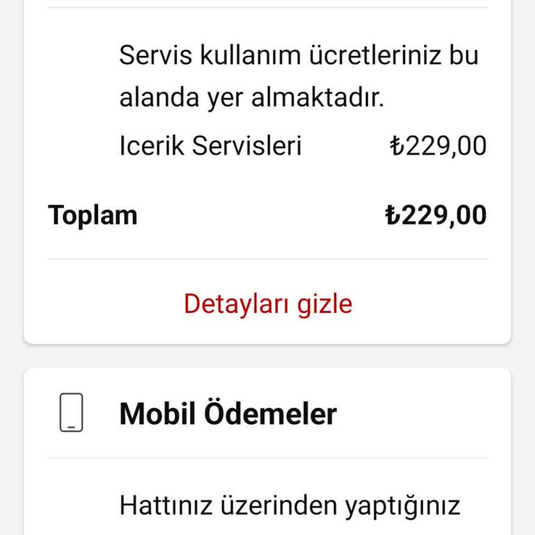 Mobil Uygulama Üzerinden Hatalı Fatura Yansıtılması