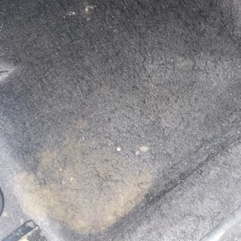 Renault Taliant Yer Döşemesi Hızla Yıpranıyor